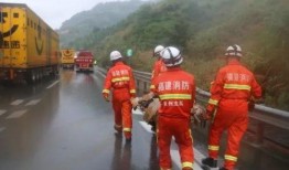绵阳最新凯厦砍树爆料事件,校园绿化遭破坏，引发社会关注
