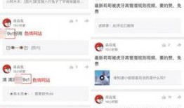 哈哥被爆料视频大全最新,揭秘背后真相与争议