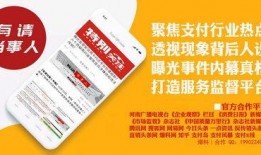 最新支付行业爆料,揭秘最新爆料背后的变革与机遇